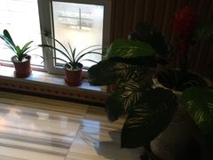 -水立方3号洗浴会馆(曼哈顿店)