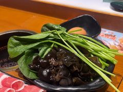 -呷哺呷哺 黄金牧场 (欢乐谷店)