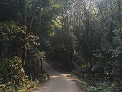 -成都老君山