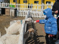 -前小桔亲子创意农场·草莓采摘·露营烧烤