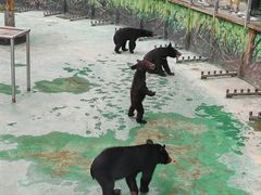 -西安秦岭野生动物园