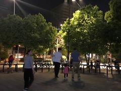 -紫荆广场·花漫里