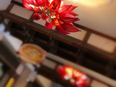 -大地烙馍村(商城路店)
