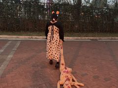 -国色天乡三期陆地乐园