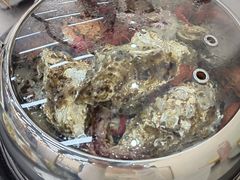 -仙螺岛海鲜自助餐厅(总店)