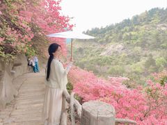 -木兰云雾山