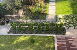 -上海玫瑰医疗美容医院