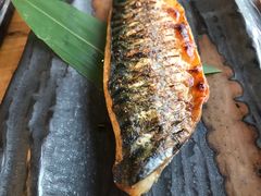 -Hatsune隐泉日式料理(三里屯太古里店)