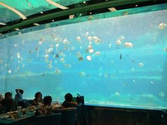 -瑞德姆美人鱼海底演艺主题餐厅(亚龙湾店)