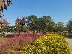 -汉长安城未央宫国家考古遗址公园