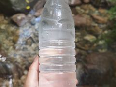 -牛背梁国家森林公园