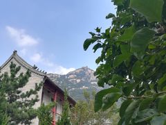 -青岛崂山太清宫