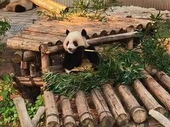 -动物缘宠物医院·骨科·猫科(西二环店)