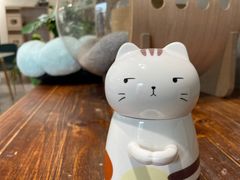 -吉丁鸟咖·异宠·寄养