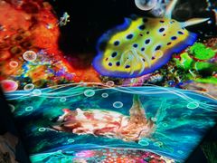 -珠海长隆海洋王国