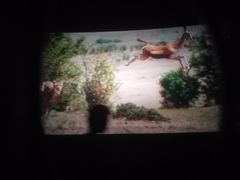 -广东科学中心科技影院