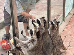 -水上乐园·欢乐世界