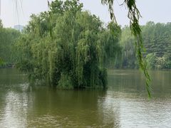 -济南大明湖景区