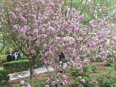 -洛阳市隋唐城遗址植物园