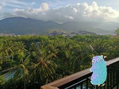 -三亚亚龙湾天域度假酒店