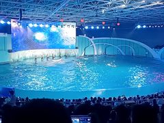 -海合安青岛极地海洋公园