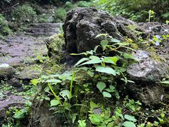 -海口火山口国家地质公园