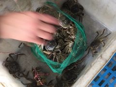 -江杨农产品批发市场