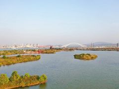 -芒洲湿地公园