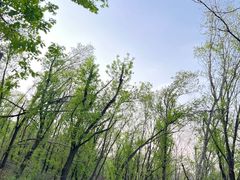 -长春市南湖公园