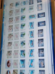 -三河市薇拉风情婚纱摄影店