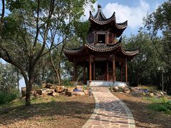 -上海市保健医疗中心(华东疗养院)