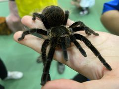 -藦茜花园宠物主题亲子互动体验馆(国顺东路店)