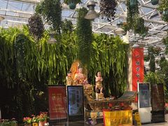 -天宫南铂玫瑰园酒店