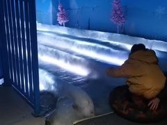 -西安银基冰雪世界