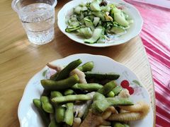 -南汇老顾农家乐采摘大团水蜜桃采摘店