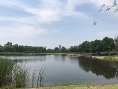 -永定河休闲森林公园