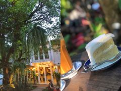 -Fern Forest Cafe