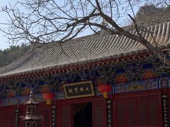 景点-青龙山生态文化旅游区(慈云寺)