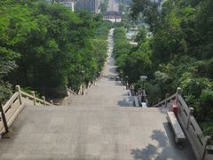 -红花山公园