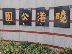 -晓港公园