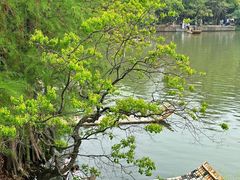 -东湖落雁景区