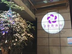 -金紫薇酒店(成都春熙路步行街店)