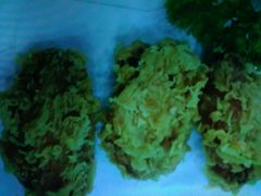 -锦亭料理