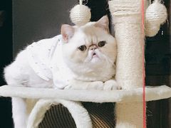 -美迦爱-牙专科·兔科·骨科诊疗中心(北苑店)