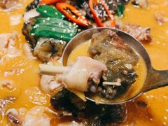 招牌状元甲鱼锅-十碗(保利店)
