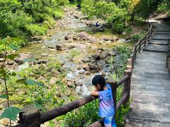 -广州白江湖森林公园