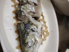 盐炝养殖巴浪鱼-旺来排档