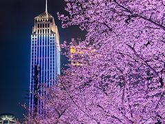 -西北湖绿化广场