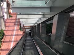 -香港大学