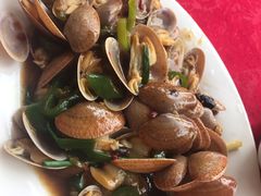-蛇口康乐快餐鱼仔档(翠苑小区店)